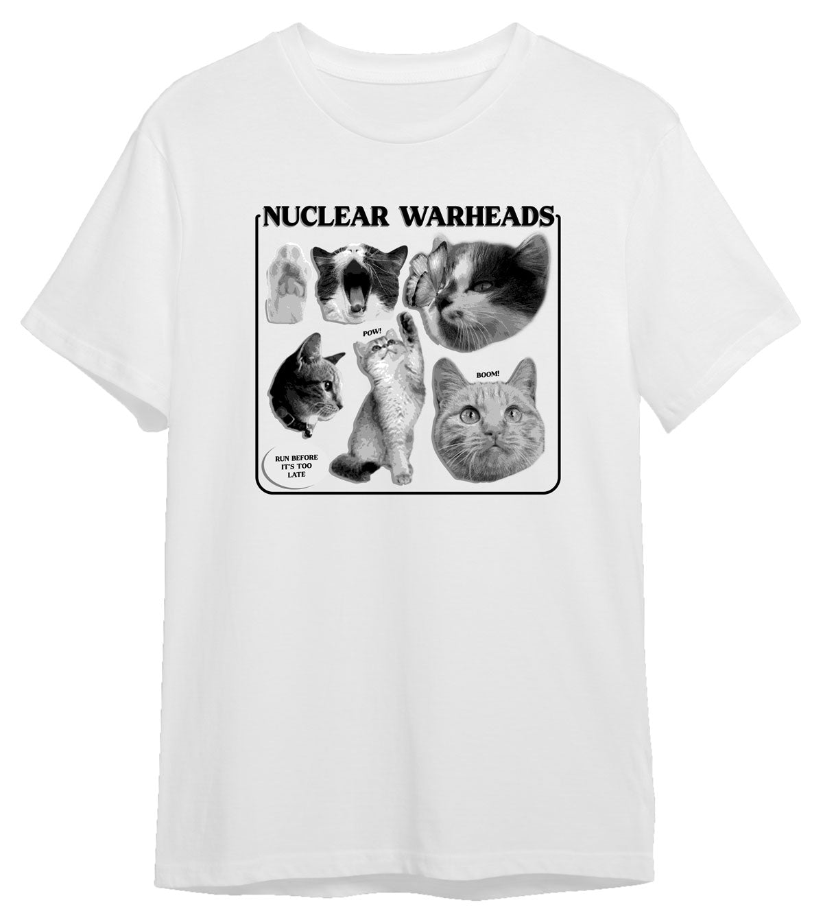 Nuclear Warheads