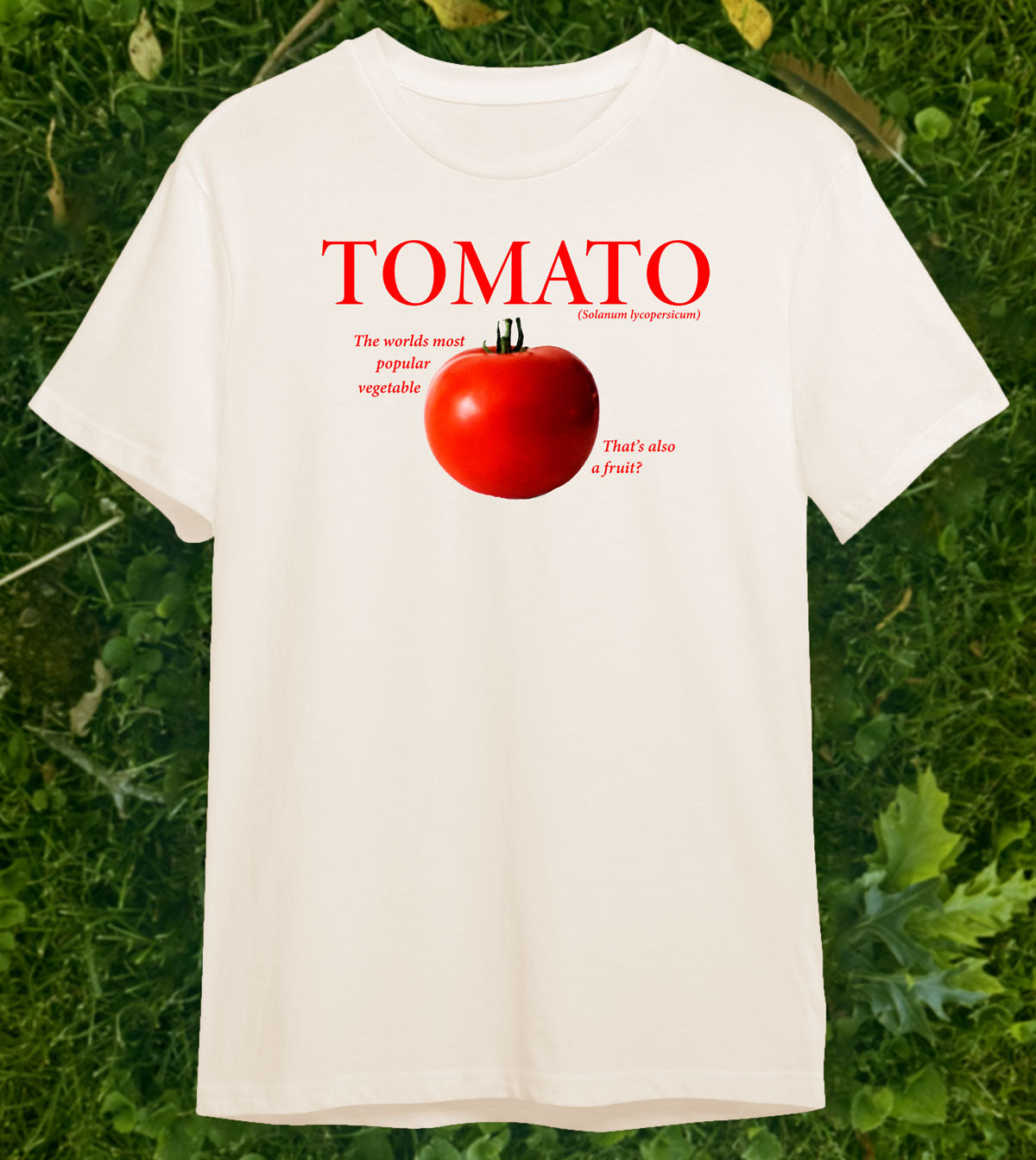 Tomato